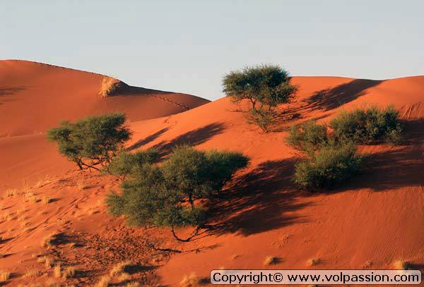 27_namib04