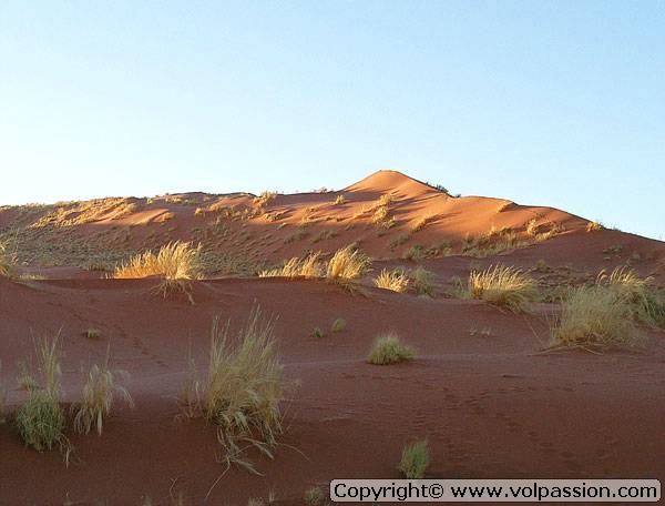 28_namib08