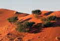 27_namib04