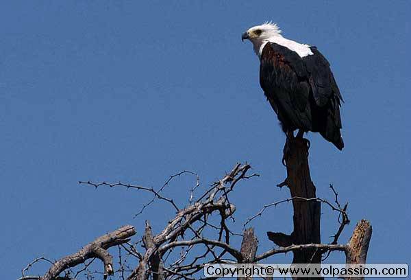 06_namibie