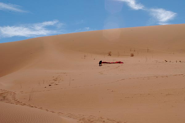 25_deadvlei