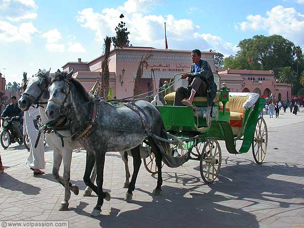 121_marrakech