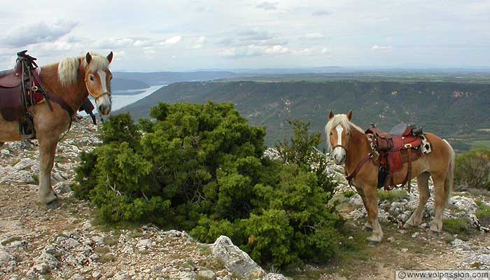 parapente a moustiers sainte marie