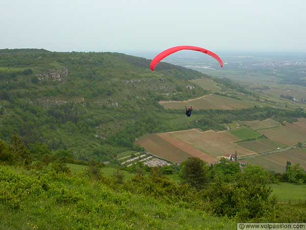 Jacques sous sa "Golden - Gradient"