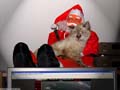 le chat tramontane et le pere noel