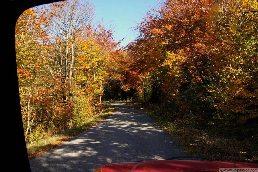 01-photo-feuillage-d'automne