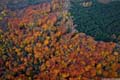 les belles couleurs sur le bois de la certenue