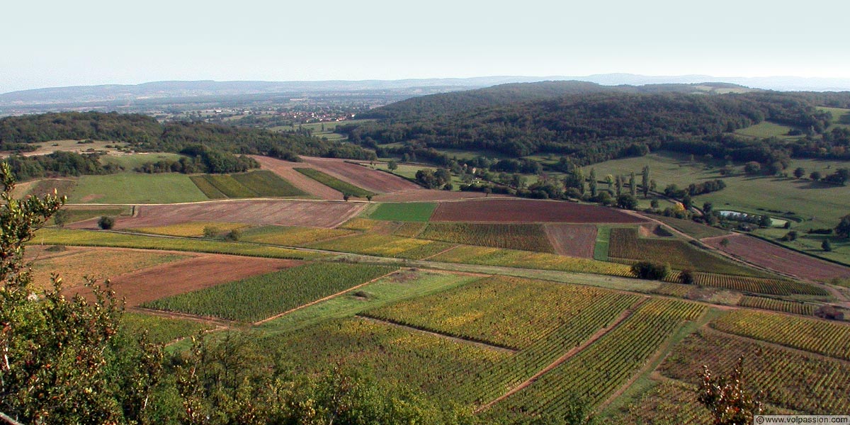 01-culles-les-roches