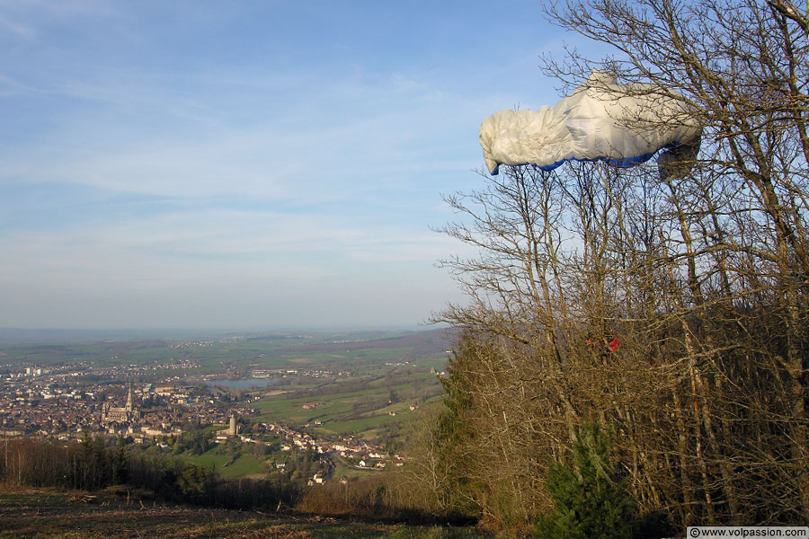 28-parapente-arbres