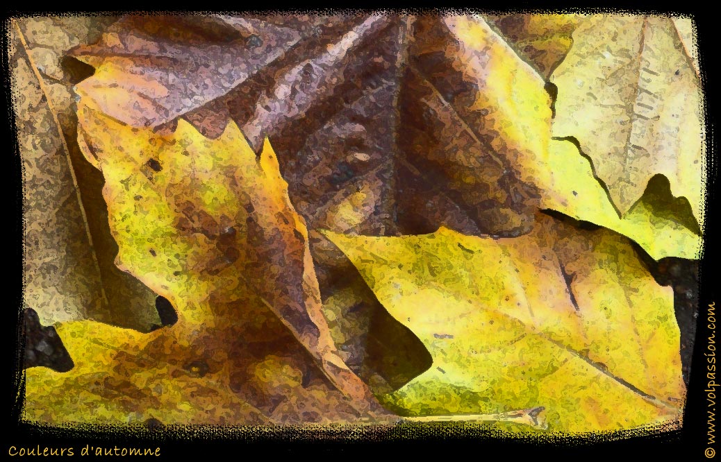 05-couleurs-d-automne