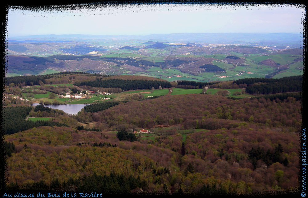 03-bois-la-raviere