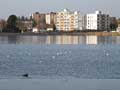 photo lac du plessis montceau les mines