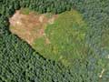 juillet - photos parapente en bourgogne