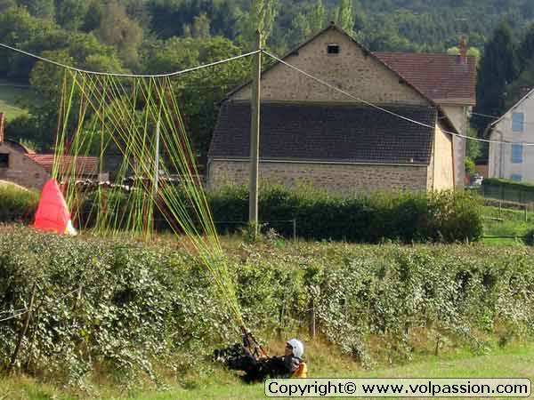 Les vaches de Maupoy