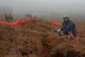 t parapente dans les fougeres