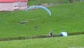 un parapente dans la haie