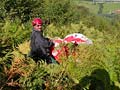 parapente dans les fougeres