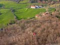 parapente aux arbres