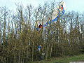 un parapente dans les arbres