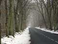 un peu de neige en fevrier en bourgogne