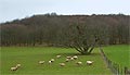 sites de parapente en Bourgogne - Mont Dardon